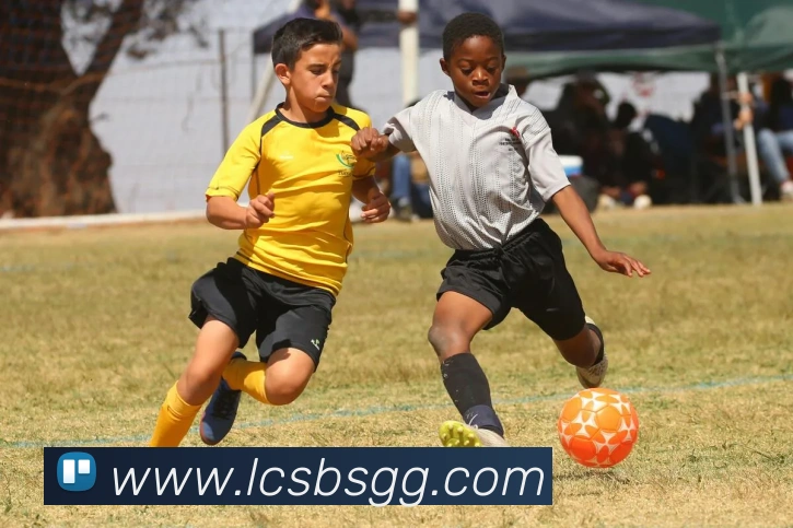 星空体育平台综合登录平台生态图